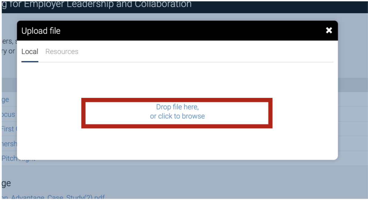 Screen_Shot_2022-11-08_at_2.04.21_PM.png